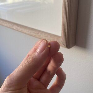14k Yellow Gold Wildlike Circle Stud